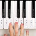 thumbnail image 4 of FOMIYES 2Jgo Piano Introductory Sticker Para Principiantes Con Material Impermeable Y Apariencia, 4 of 8