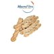 thumbnail image 1 of Trenza Amaranto Macrofibra Integral sin Azucar Vegano sin Lactosa Macrobiotico E Integral 3 Paq c/10 Pzas, 1 of 7