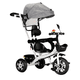 thumbnail image 1 of Carriola Triciclo Convertible Infantil Con Toldo Modelo Gris, 1 of 4