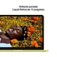 thumbnail image 5 of MacBook Neo Apple 13 Pulgadas Chip A18 Pro 8GB 256GB Amarillo Cítrico, 5 of 5