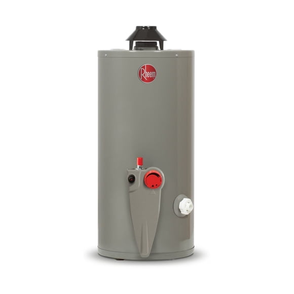 Boiler Calentador de Agua Rheem 38 Litros 1 Servicio Gas LP