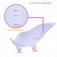 thumbnail image 4 of Asiento Soporte Baño Ducha Tina Bebé EKE LIFE HOME Antideslizante, 4 of 8