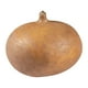 thumbnail image 1 of Jícama Por Kilo, 1 of 5