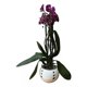 thumbnail image 2 of Maceta Cerámica Esmaltada Orquídea Pequeña Blanco, 2 of 2