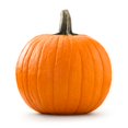 thumbnail image 4 of Calabaza Pay, 4 of 8