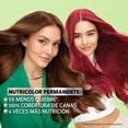 thumbnail image 4 of Tinte para cabello Garnier Nutrisse ultra cobertura 30u castaño oscuro profundo, 4 of 12