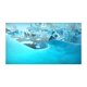 thumbnail image 2 of Ice Age: Scrats Nutty Adventure Nintendo Switch Físico, 2 of 4