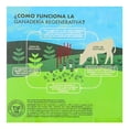 thumbnail image 4 of Carne Para Hamburguesa Verdes Motivos De Res Congelada De Libre Pastoreo 350 G, 4 of 6