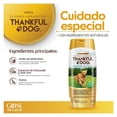 thumbnail image 4 of Shampoo Grisi el perro agradecido con Avena 400 ml, 4 of 4