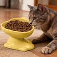 thumbnail image 5 of Plastic Cats Bowl Dog Bowl Cats Food Bowl Drinking Bowl To Cervical Vertebra Pet Bowl, 5 of 5