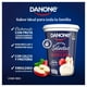 thumbnail image 3 of Yoghurt Danone frutas selectas con trozos de manzana 900 g, 3 of 5