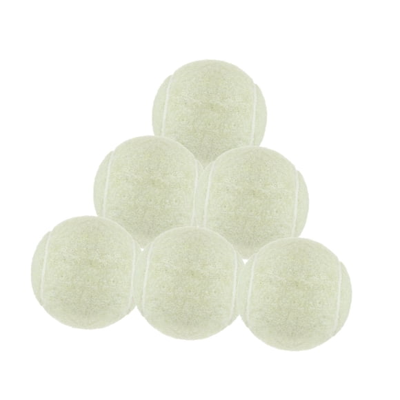 6 pelotas de tenis de 64 mm de diámetro para perros de entrenamiento y ejercicio. Blanco