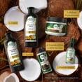thumbnail image 5 of Shampoo Herbal Essences Bio:Renew Coconut Milk 400 ml, 5 of 5