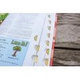 thumbnail image 4 of Biblia NIV Adventure Coral de HarperCollins a Todo Color, 4 of 9