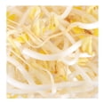 thumbnail image 2 of Germinado De Soya San Francisco Bay Cultivos Naturales 250 G, 2 of 5