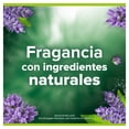 thumbnail image 4 of Jabon de Baño Palmolive Naturals Sensación Humectante Lavanda y Crema 120 g, 4 of 6