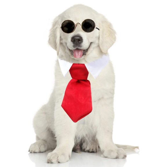 Pajarita para mascotas Corbata para niños Corbata pequeña con estampado de rayas Corbata para perros 1521