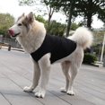thumbnail image 1 of Zhuge Chaleco para perros y gatos, chaleco transpirable para mascotas, sudadera para cachorros, ropa para perros, abrigos para perros pequeños, medianos y gatos, 5XL, A30, 1 of 4