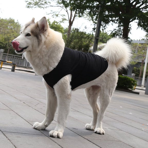 Zhuge Chaleco para perros y gatos, chaleco transpirable para mascotas, sudadera para cachorros, ropa para perros, abrigos para perros pequeños, medianos y gatos, 5XL, A30