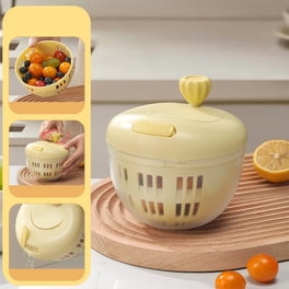 Fruit And Vegetable Dehydrator