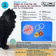 thumbnail image 2 of Caja de arena para Gatos KE WOOW Arenero grande con entrada superior color Azul, 2 of 7
