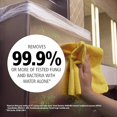 thumbnail image 2 of Rubbermaid Commercial Products Rubbermaid Commercial - Paño de limpieza ligero de microfibra de 16 x 16 pulgadas, amarillo, paquete de 24, 2 of 2