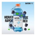 thumbnail image 4 of Bebida hidratante Gatorlyte sabor moras 591 ml, 4 of 5