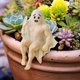 thumbnail image 5 of Fantasma de Halloween CLLC, Figura Decorativa de Halloween, Estatua de Fantasma Divertida y Sexy para Fiestas, Hogar, Dormitorio, Estante, Mesa, Centro de Mesa, Escultura de Fantasma de Resina (B), 5 of 8