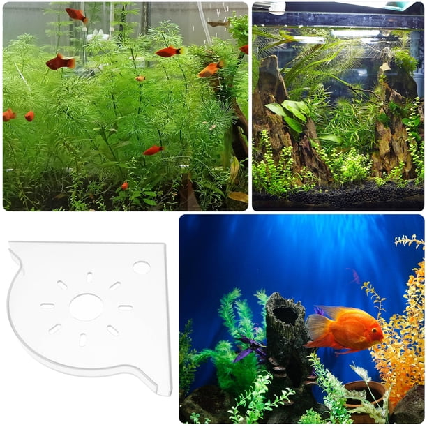 Bodega Setup HINTRMENT Organizador Para Acuario Estable Y Práctico Con Triangular ...