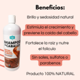 thumbnail image 3 of Shampoo de Caballo Zaire Acelerador de crecimiento y anticaída ZAIRE Para todo Tipo de Cabello, 3 of 10