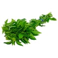 thumbnail image 2 of Albahaca por pieza, 2 of 6