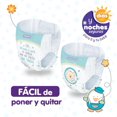 thumbnail image 4 of Pañal Autoajustable Bbtips Baby Up Etapa 6 160 piezas, 4 of 4