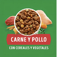 thumbnail image 4 of Croquetas Para Perro Dog Chow Adulto Razas Grandes 25 Kg, 4 of 8