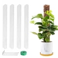 thumbnail image 1 of MTBLYS Poste de plástico para musgo de 60 cm | 4 soportes para plantas trepadoras | Agarre aéreo semicilíndrico | Palo para musgo Monstera de interior | Estaca para plantas en maceta, 1 of 6