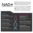 thumbnail image 3 of NAD+ Puro en Polvo Eternal Nutrition 50 Gramos 500 mg, 3 of 8