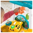 thumbnail image 2 of Andadera para Bebé Fisher-Price De Dos Lados Primeros Pasos, 2 of 5