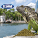 thumbnail image 2 of Alimento Iguana Juvenil Lomas Ingredientes Naturales 350 Grs FL4003, 2 of 2