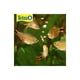 thumbnail image 2 of ALIMENTO PARA PECES TRETRAMIN TROPICAL FLAKES 62 GRS, 2 of 2