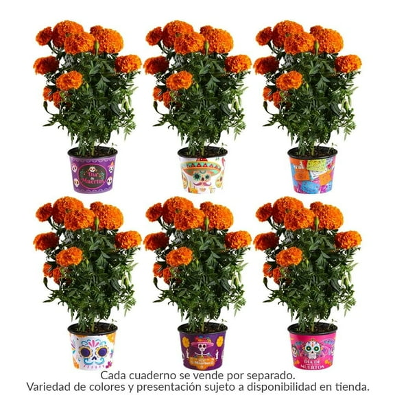 Flor de cempasúchil grande 60 cm