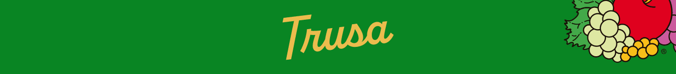 Trusa