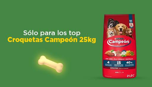 alimento mascotas