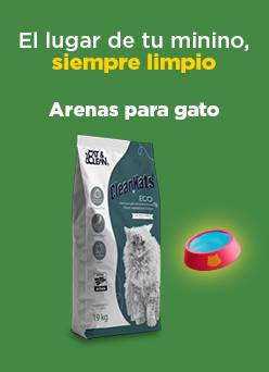 arena