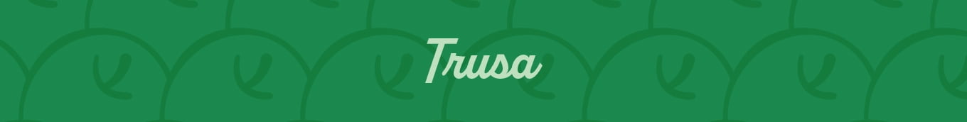 Fruit of the Loom Trusa
