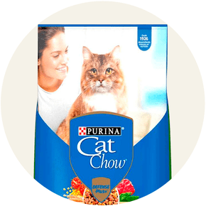 hubSp-cat-mascotas-gato-261001