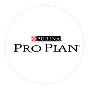 Pro Plan