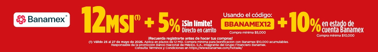 BBANAMEX12