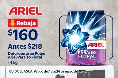 Ariel