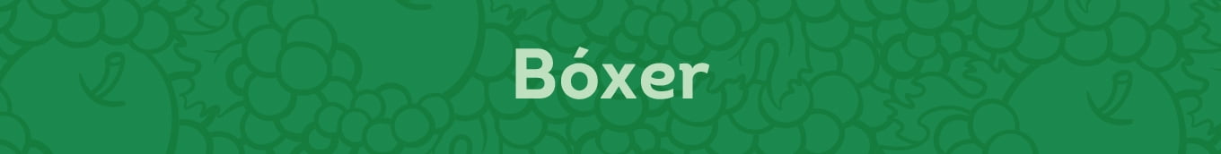Fruit of the Loom Boxer