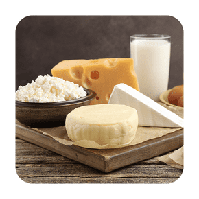 Quesos y Leche
