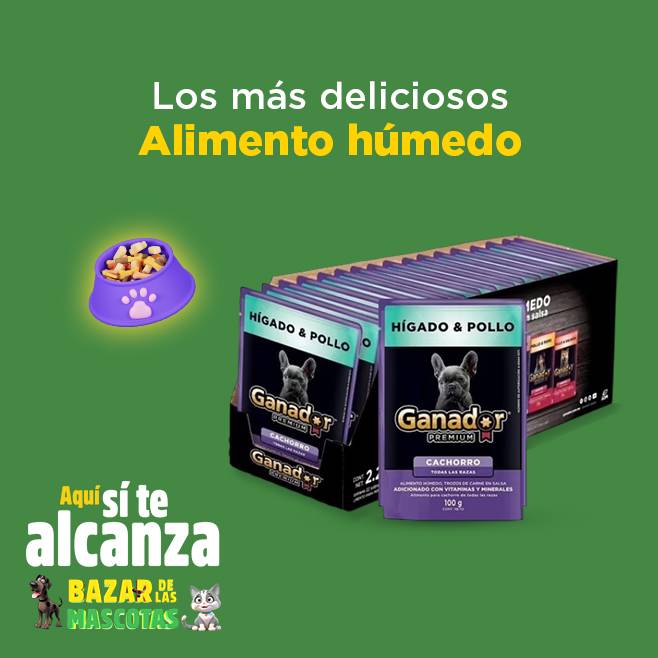 alimento para perro